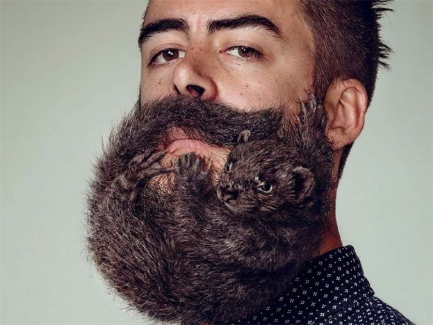 Científicos indican que la barba tiene tantas  bacterias como un hinodoro