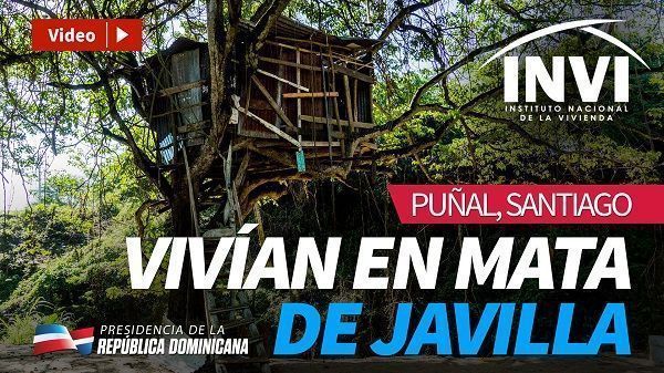 Vivían en una mata de javilla