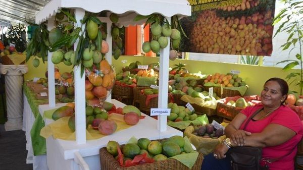 Productores resaltan éxito XIV Expo Mango 2018