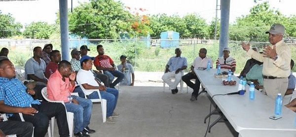 Agricultura buscará mercado a 73,000 quintales de cebolla