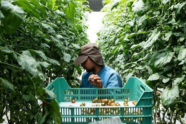 EEUU y México estarían reduciendo diferencias