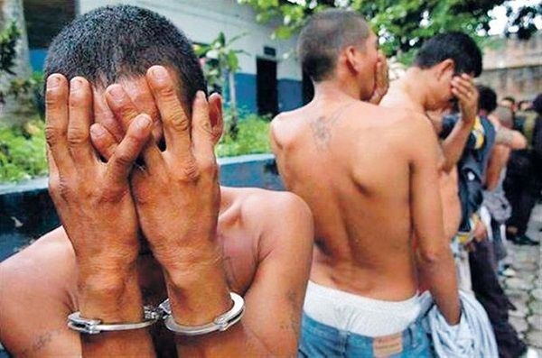 Las pandillas han declinado en el país