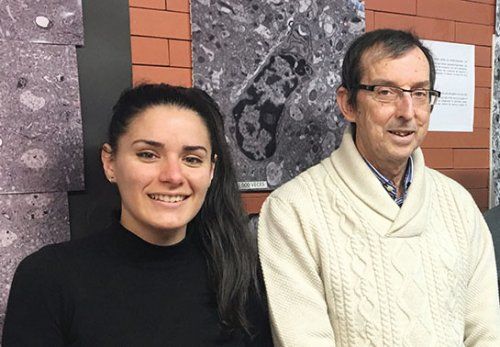 García-Verdugo se reafirma: no existe neurogénesis adulta en el hipocampo humano
