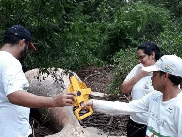 Hallan una ballena de diez toneladas en plena selva del Amazonas