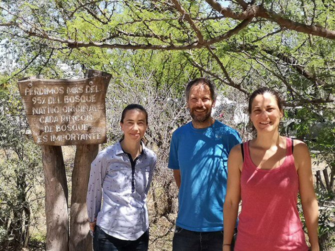 Usar un hongo para proteger a un árbol amenazado