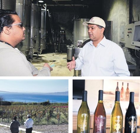 Más de 20,000 litros de vinos de Ocoa entrarán al mercado