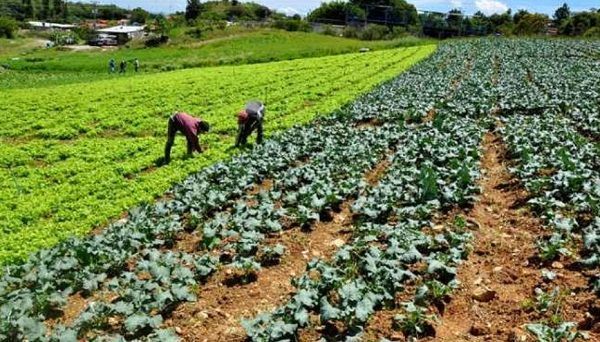 América Latina y el Caribe se prepara para el mayor censo agropecuario a nivel global