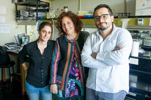 Desarrollan promisorio enfoque terapéutico para el cáncer de mama y de ovario