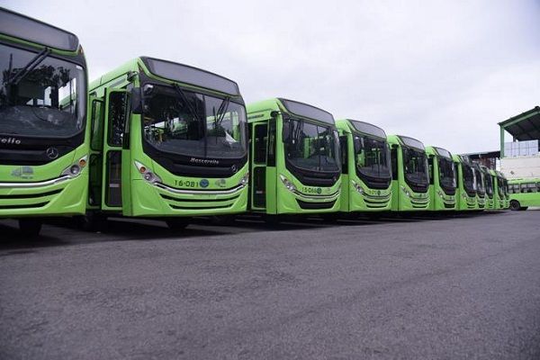 OMSA transporta gratis niños que participan en Serie del Caribe Pequeñas Ligas