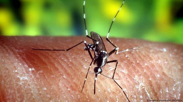 La malaria esta en aumento en el país