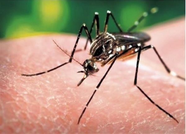 Nicaragua registra 10 muertes por dengue