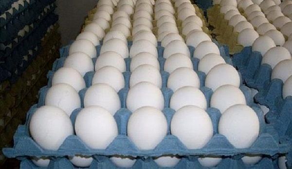 Productores de huevos dicen que inestabilidad de Haití lo afectan