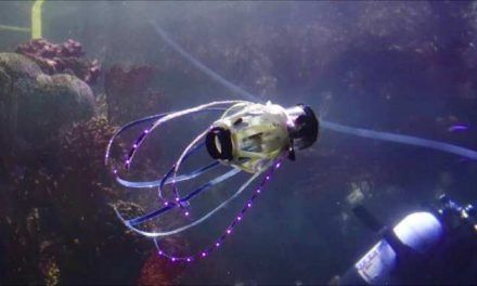 Sorprendente robot calamar