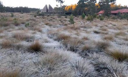 Constanza helada; 5 grados bajo cero