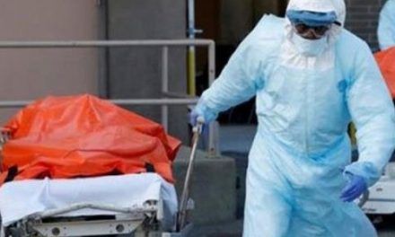 Registran 193 muertes en los 28 días que lleva el mes de enero