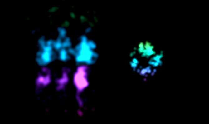 Desarrollan método de superresolución para obtener imágenes cercanas al tamaño de las proteínas