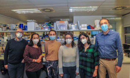 “Corta y pega genético” para conseguir plantas más nutritivas y resistentes