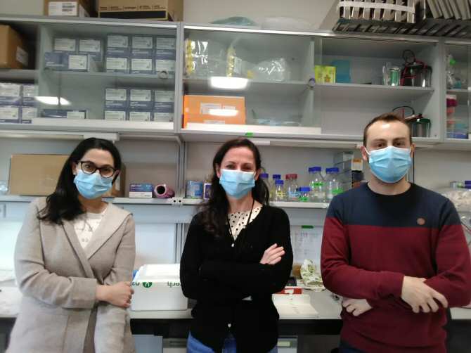 La química del ARN puede ser la clave en nuevos tratamientos del cáncer
