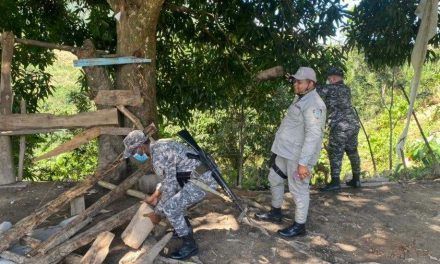 Policía desmantela galleras clandestinas en distrito municipal de Juan Adrián y comunidad El Verde