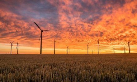La energía eólica abastece un 7,5% del suministro eléctrico mundial