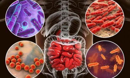 Los científicos identifican más de 140,000 especies de virus en el intestino humano