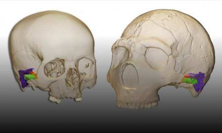Los neandertales hablaban