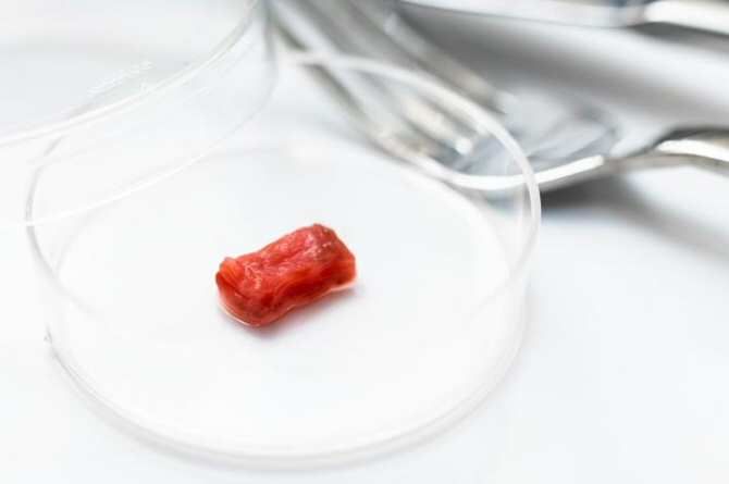 Carne comestible generada artificialmente