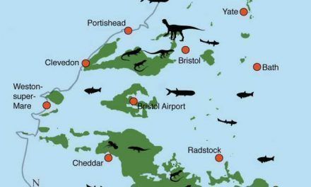 Cuando el Reino Unido era un archipiélago tropical