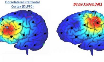 ¿Una nueva vía cerebral para aliviar el dolor?
