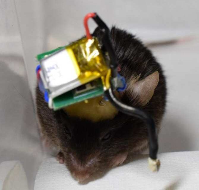 Dispositivo con enlace Bluetooth para leer señales cerebrales