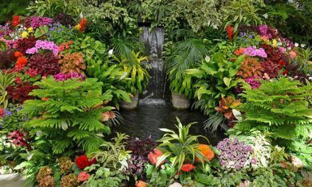 Jardinería: por hobby o profesión, uno de los oficios más gratificantes