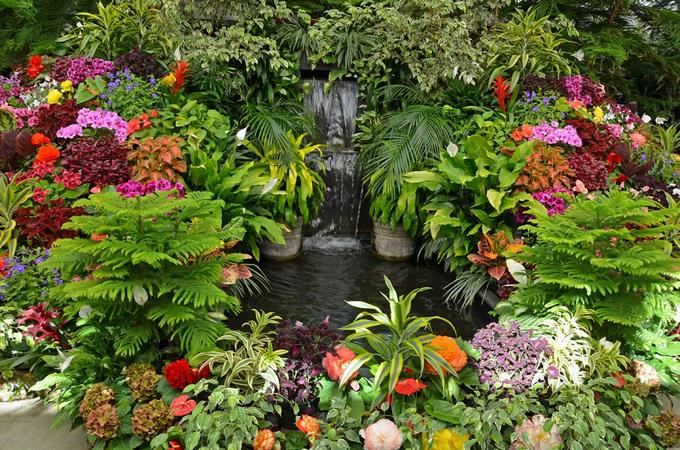 Jardinería: por hobby o profesión, uno de los oficios más gratificantes