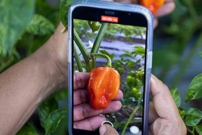 Mezclas e influencias: el resultado de una identidad con sabor