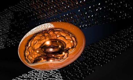 Metamaterial blando con capacidad de computación