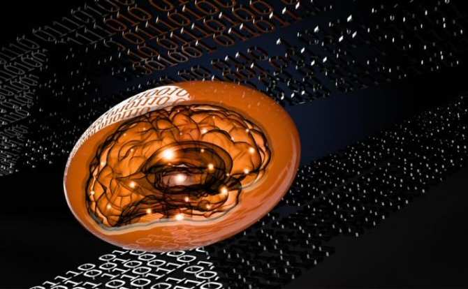Metamaterial blando con capacidad de computación