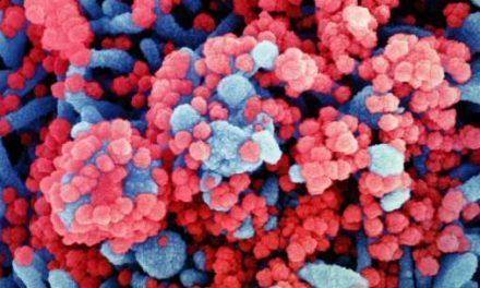 El origen de la COVID-19 y la hipótesis del escape de un laboratorio