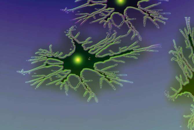 Organoides de cerebro humano, ¿en la antesala de la creación artificial de conciencia?