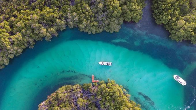 Montecristi y Samaná: por la preservación de la biodiversidad costera y una oferta turística sostenible