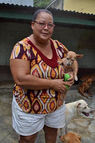 Una casa de acogida para perros y gatos: el sueño de Ana Yira y defensores de animales en San Cristóbal