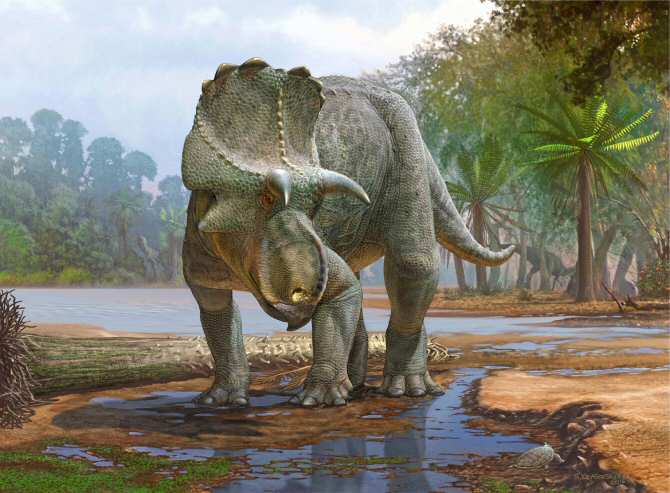 Descubren al Menefeeceratops sealeyi, un dinosaurio predecesor del famoso Triceratops