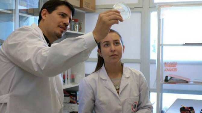 Bioinsecticidas bacterianos para una agricultura más sostenible