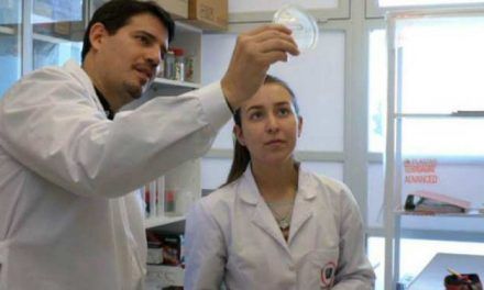 Bioinsecticidas bacterianos para una agricultura más sostenible