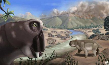 Últimos hallazgos sobre la peor extinción masiva de la historia de la Tierra