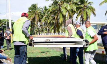 Ayuntamiento SDE tumba vallas ilegales ocupaban jardineras de la ciudad