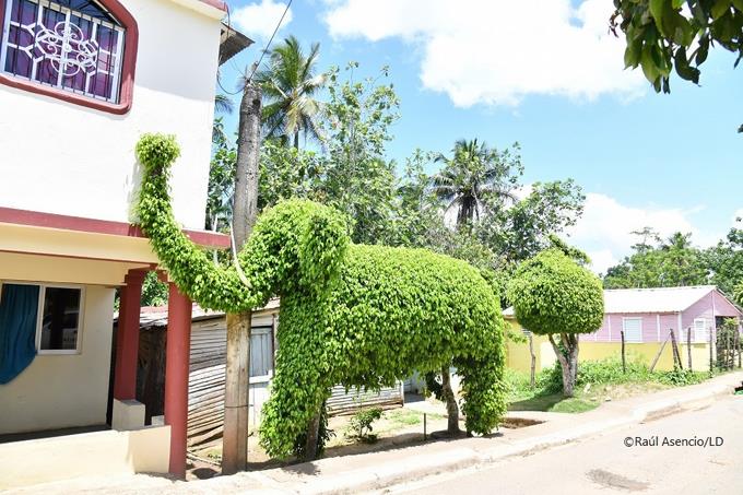 Las esculturas verdes del topiarista dominicano Francisco Gutiérrez