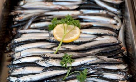 Más sardinas, menos diabetes