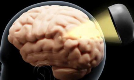 Control de la conducta humana mediante la sonotermogenética
