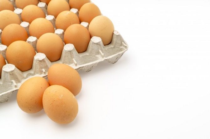 Envases para alimentos: de plástico, cartón o vidrio, ecológicos y biodegradables