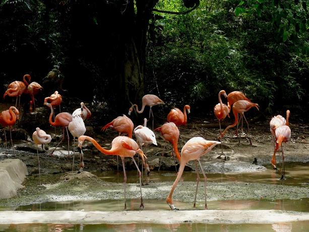 La aventura por la biodiversidad