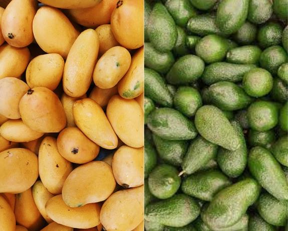 Mango y aguacate con gran oportunidad en Europa